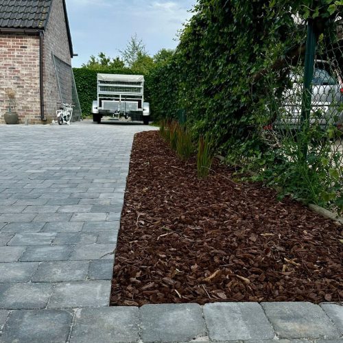 WhatsApp Image 2023-07-10 at 08.33.31 (1)