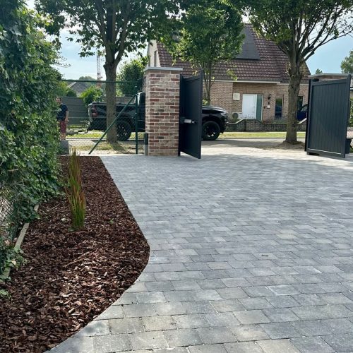 WhatsApp Image 2023-07-10 at 08.33.34 (1)