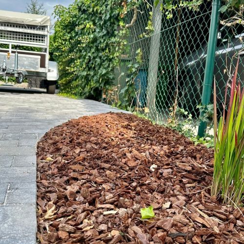 WhatsApp Image 2023-07-10 at 08.33.35