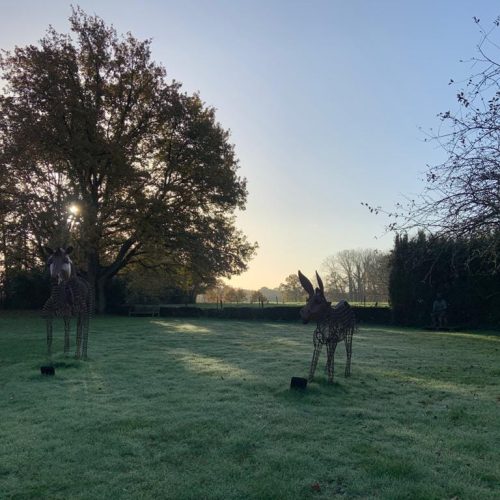 WhatsApp Image 2023-07-28 at 16.48.56 (12)